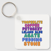 Michigan Steenverzamelaars Rockhound Sleutelhanger (Voorkant)