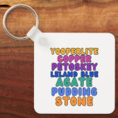 Michigan Steenverzamelaars Rockhound Sleutelhanger (Voorkant)