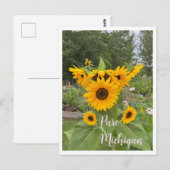 Michigan Summer Sunflower Postcrossing Briefkaart (Voorkant / Achterkant)