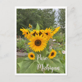 Michigan Summer Sunflower Postcrossing Briefkaart