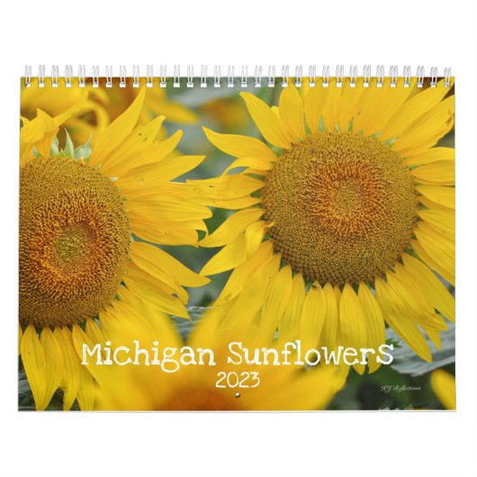 Michigan Sunflowers Kalender (Hoes)