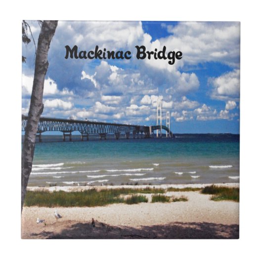 Michigan Tegeltje (Voorkant)