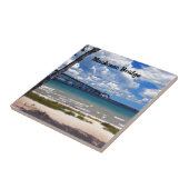 Michigan Tegeltje (Zijkant)