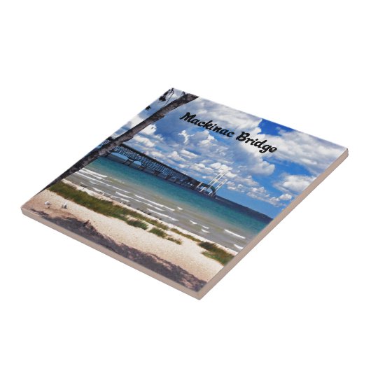 Michigan Tegeltje (Zijkant)