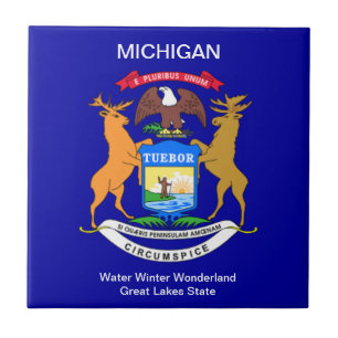 Michigan Tegeltje
