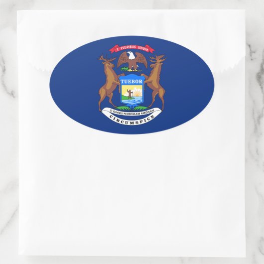 Michigan vlag ovale sticker (Tas)