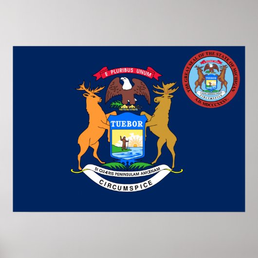 Michigan vlag poster (Voorkant)