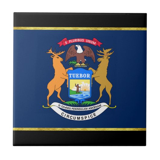 Michigan vlag tegeltje (Voorkant)