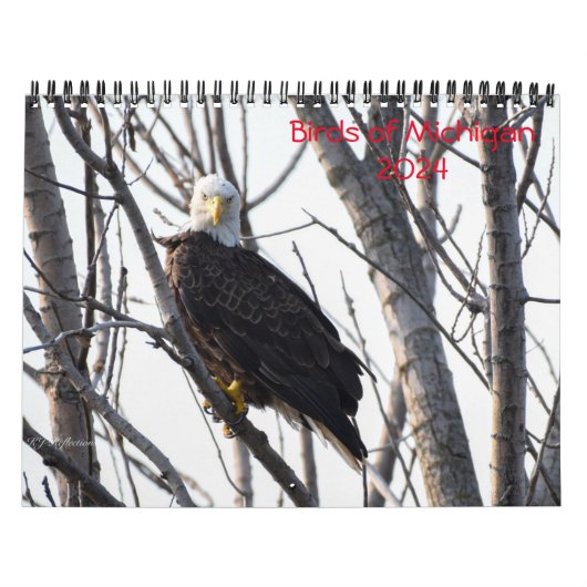 Michigan Vogelkalender 2024 Kalender (Hoes)