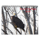 Michigan Vogelkalender 2024 Kalender (Hoes)