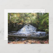 Michigan Wilderness Waterfall Briefkaart (Voorkant / Achterkant)