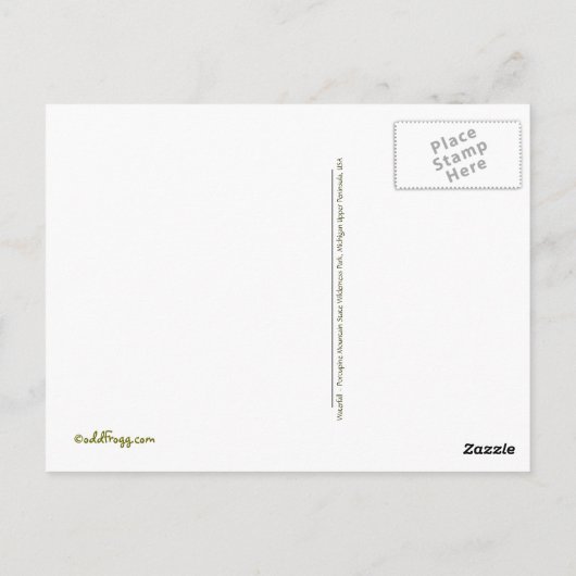 Michigan Wilderness Waterfall Briefkaart (Achterkant)