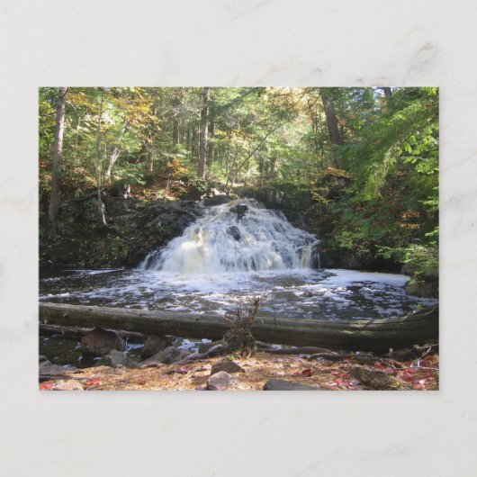 Michigan Wilderness Waterfall Briefkaart (Voorkant)