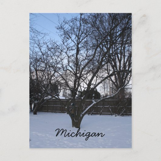 Michigan winterkaart briefkaart (Voorkant)
