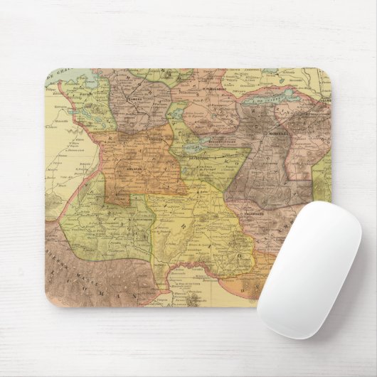 Michoacan Muismat (Met muis)