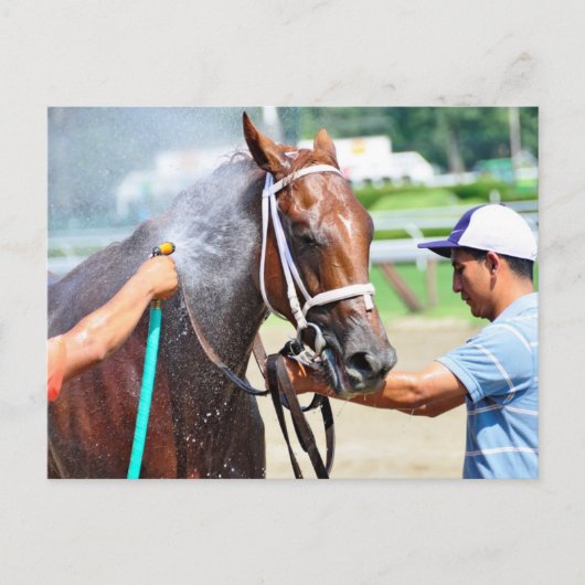 Michonne Briefkaart (Voorkant)