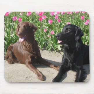 Mick & Patsy in de tulpen 011 Muismat