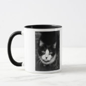 mickey bw, Happy Birthday mama!               .. Mok (Links)