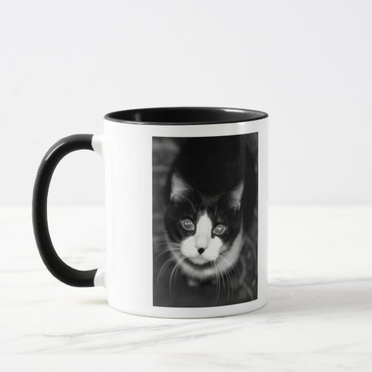 mickey bw, Happy Birthday mama!               .. Mok (Links)