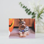 Mickey - Yorkshire Terrier - Shannon Briefkaart (Staand voorkant)