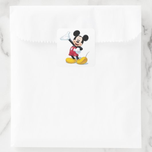 Mickey's Fun Stickers (Tas)