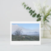 Mickleton, katoenbaby's briefkaart (Staand voorkant)