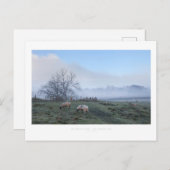 Mickleton, katoenbaby's briefkaart (Voorkant / Achterkant)