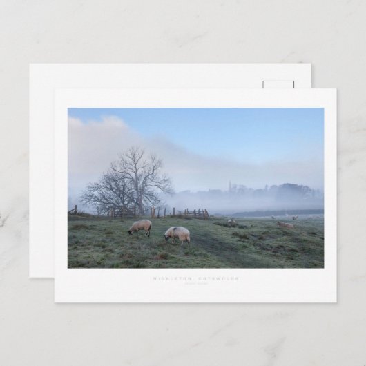 Mickleton, katoenbaby's briefkaart (Voorkant / Achterkant)