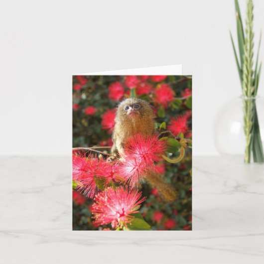 Mico in "wilde" Notecards Kaart (Voorkant)