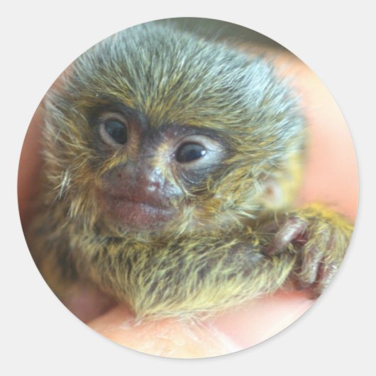 Mico Sticker (Voorkant)