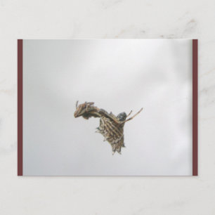 Micrathena Orb Weaver Spider Briefkaart