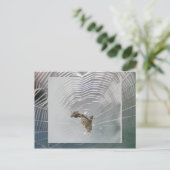 Micrathena Web & Spider Briefkaart (Staand voorkant)