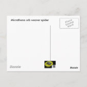 Micrathena Web & Spider Briefkaart (Achterkant)