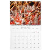 Micro ASMR: Defrost Kalender (Jan 2027)