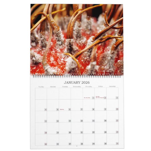 Micro ASMR: Defrost Kalender (Jan 2026)