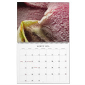Micro ASMR: Defrost Kalender (Mar 2026)