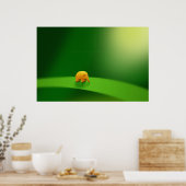 Micro-dieren - olifant poster (Keuken)