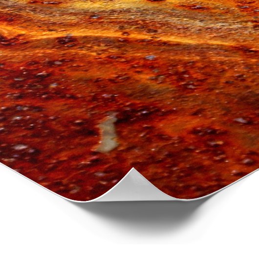 Micro Rust Poster (Hoek)