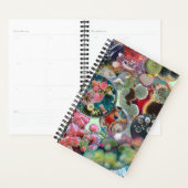 Microbiële caleidoscoop: een kolonie in kleur planner (Display)