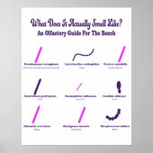 Microbiologie Bench Olfactory Guide Poster (Voorkant)