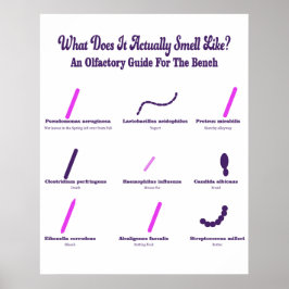 Microbiologie Bench Olfactory Guide Poster