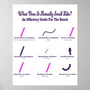 Microbiologie Bench Olfactory Guide Poster