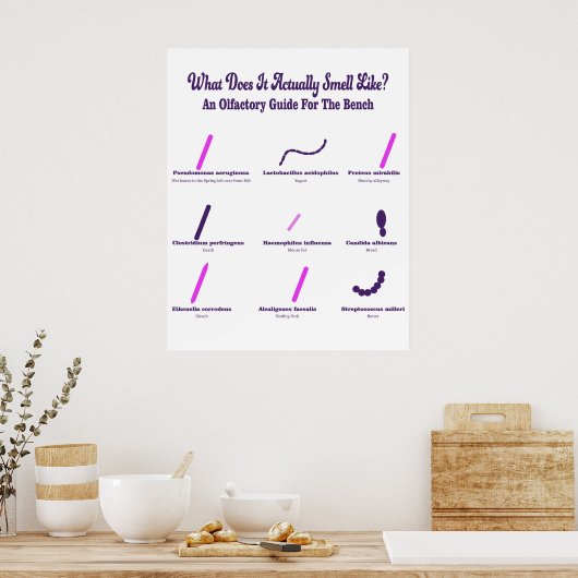 Microbiologie Bench Olfactory Guide Poster (Keuken)