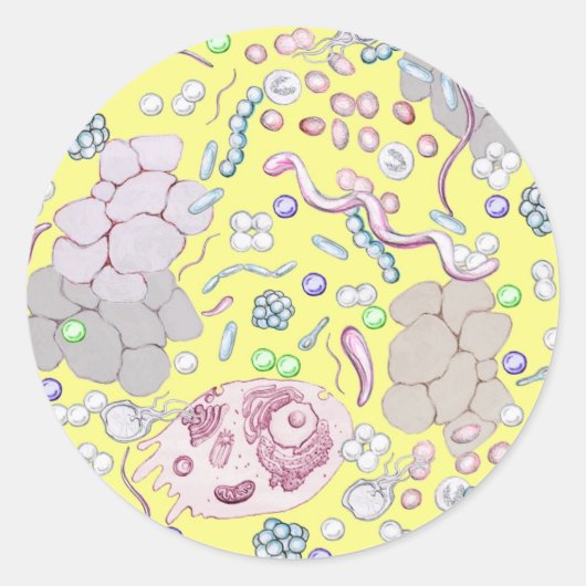 Microbiologie in geel ronde sticker (Voorkant)