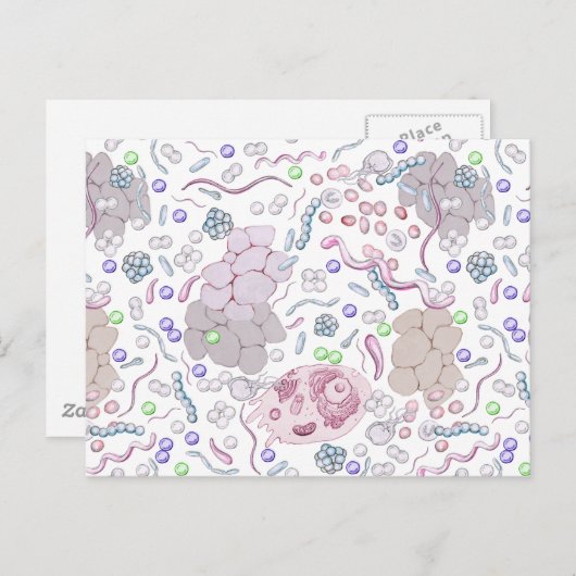 Microbiologisch patroon briefkaart (Voorkant / Achterkant)