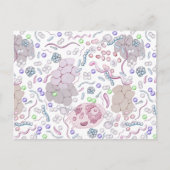 Microbiologisch patroon briefkaart (Voorkant)
