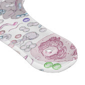 Microbiologisch snijbord snijplank (Hoek)