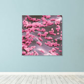 Micrococcus-bacteriën Canvas Afdruk (Insitu (Houten vloer))