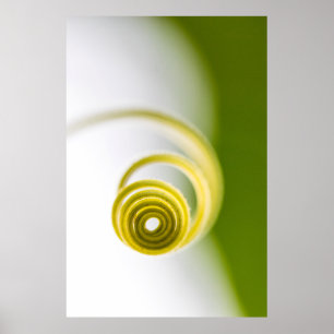 Microfotografie van planten stengels poster