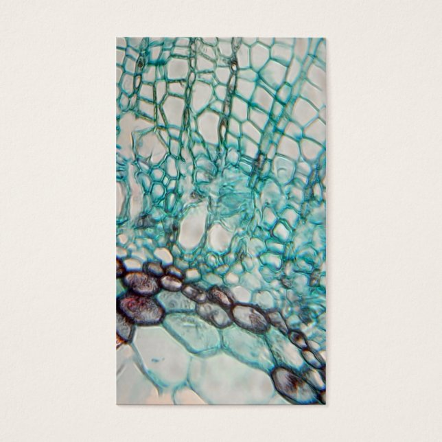 micrografie van plant cellen visitekaartjes (Voorkant)